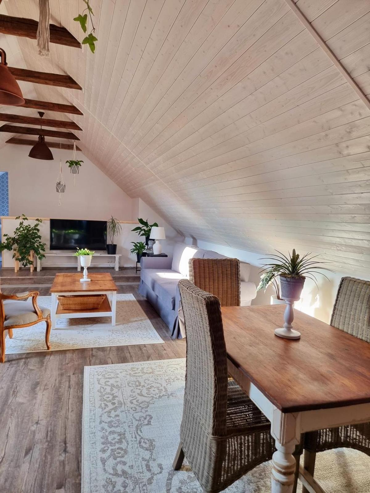 Apartman U Stef Borotice Buitenkant foto