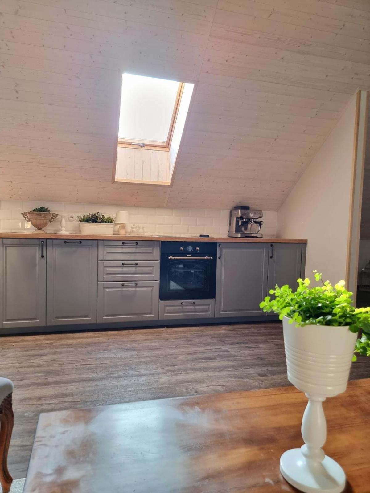 Apartman U Stef Borotice Buitenkant foto