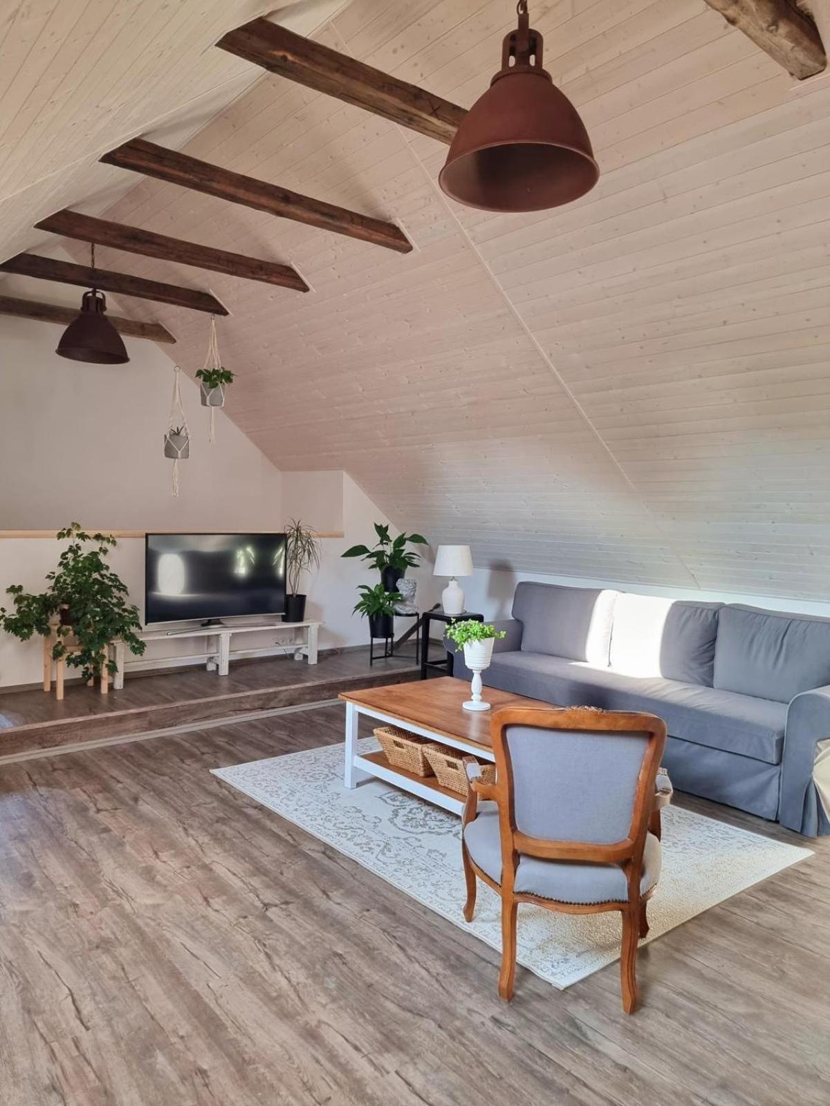 Apartman U Stef Borotice Buitenkant foto