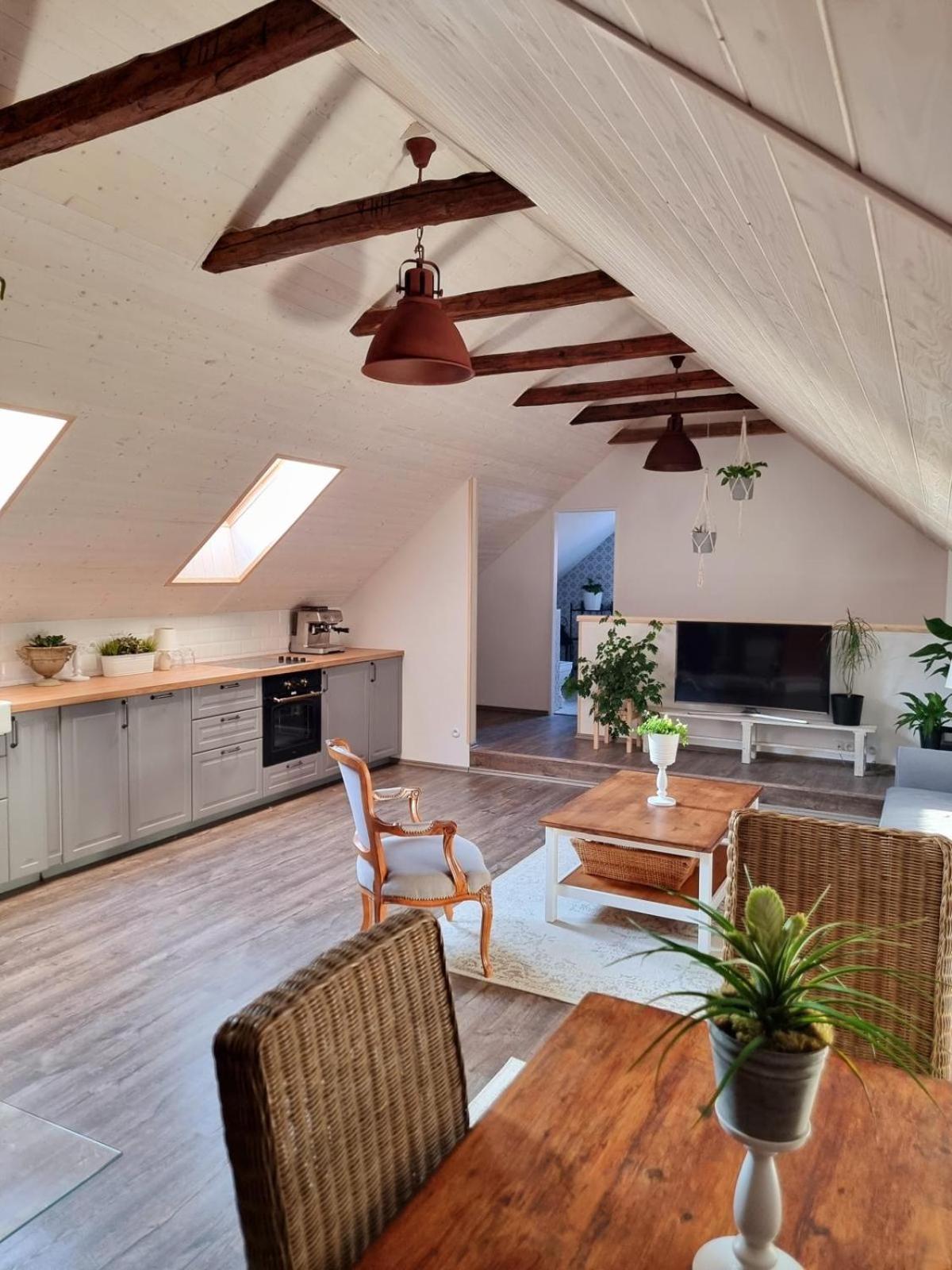 Apartman U Stef Borotice Buitenkant foto