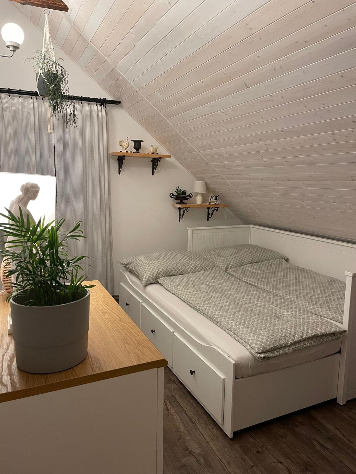 Apartman U Stef Borotice Buitenkant foto